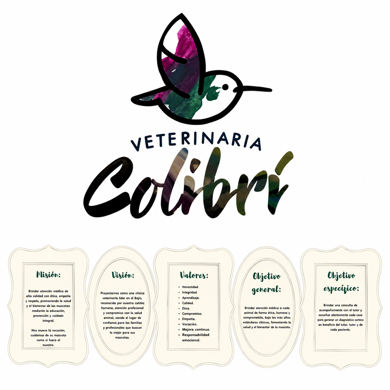 Veterinaria Colibrí — imagen 3