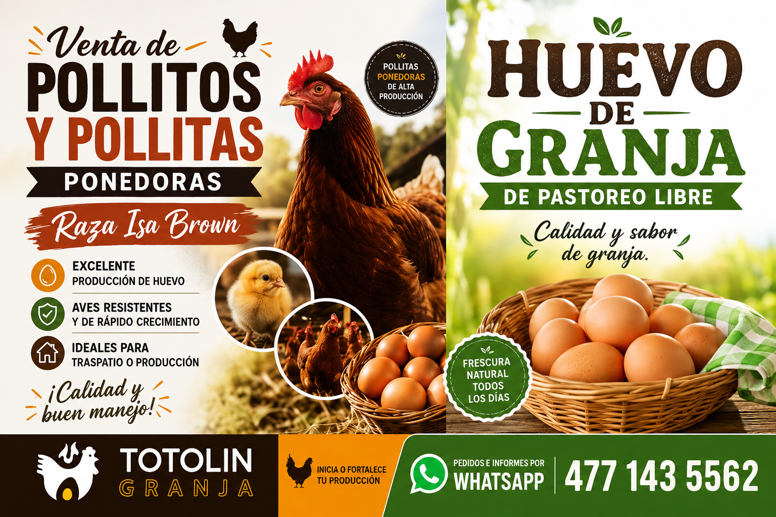 Titolin Granja